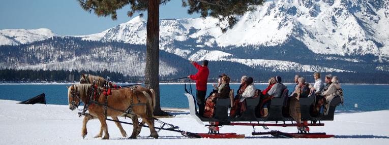 Borges Sleigh and Carriage Rides